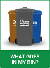 what goes in my bin | leitrim | roscommon