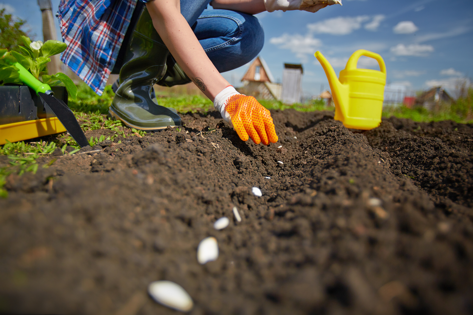 Recycling Tips in the Garden