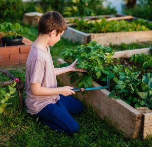 waste management services