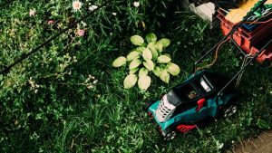 garden waste disposal