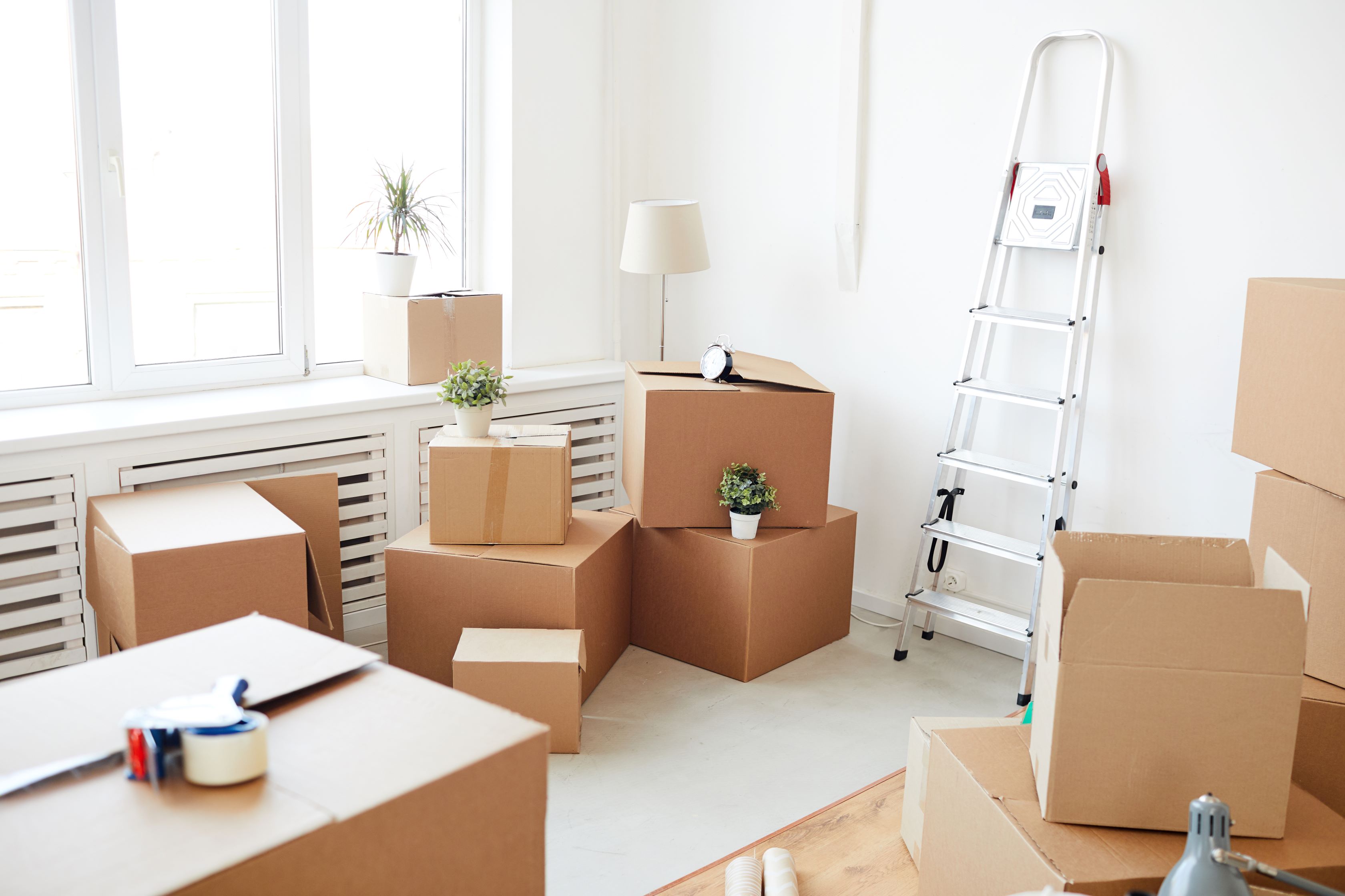 Moving Day Tips Barna Recycling